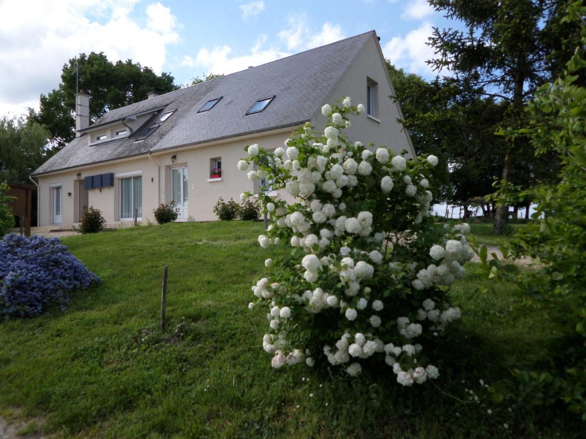 Bed and Breakfast Bienvenue A L'Andruere Cheillé Exterior foto